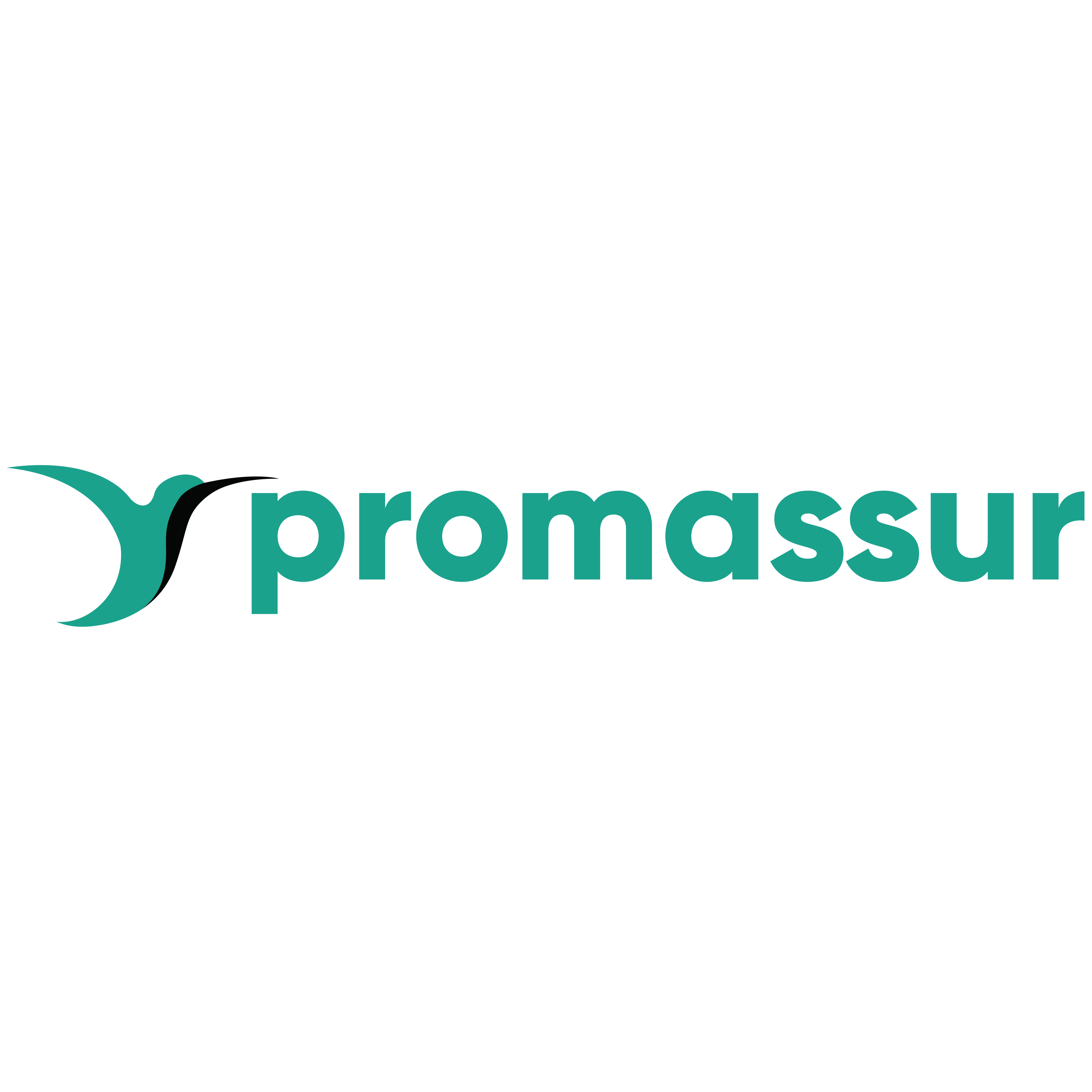 Promassur logo